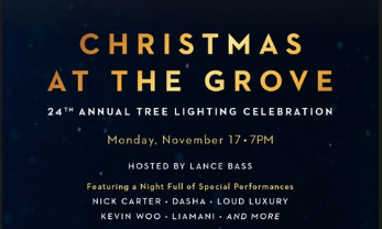 screenshot 2025 11 15 11.13.31 pm